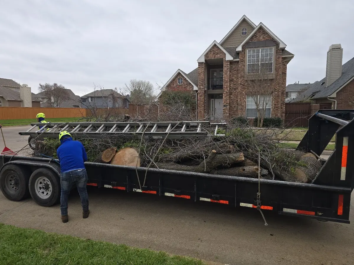 Expert Tree Pest Control with proper safety equipment in Gardendale